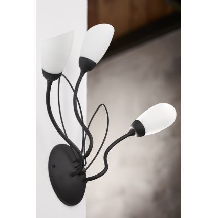 Jupiter 2059 - Nástěnné svítidlo GLORIOSA 3xG9/14W/230V černá