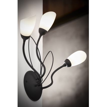 Jupiter 2059 - Nástěnné svítidlo GLORIOSA 3xG9/14W/230V černá