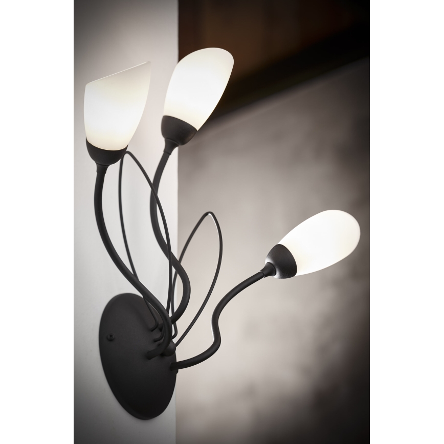 Jupiter 2059 - Nástěnné svítidlo GLORIOSA 3xG9/14W/230V černá