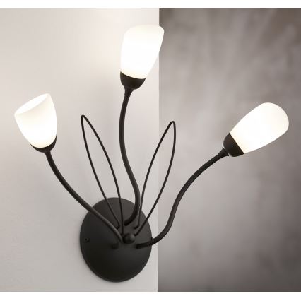 Jupiter 2059 - Nástěnné svítidlo GLORIOSA 3xG9/14W/230V černá