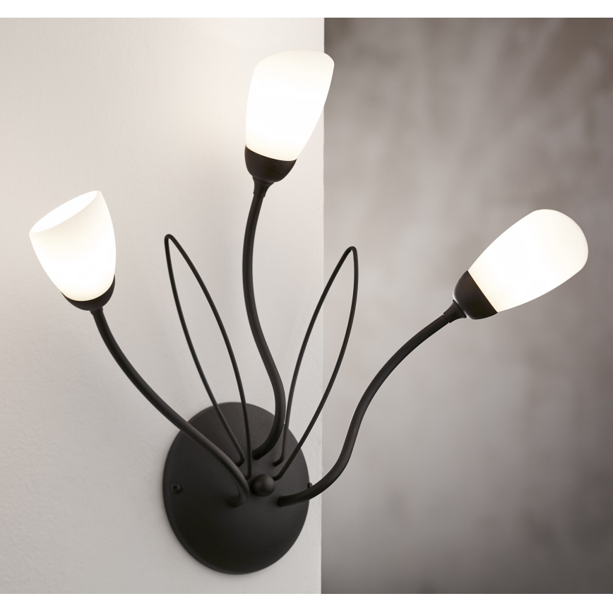 Jupiter 2059 - Nástěnné svítidlo GLORIOSA 3xG9/14W/230V černá