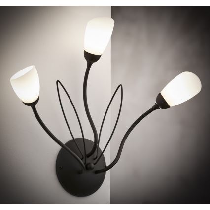 Jupiter 2059 - Nástěnné svítidlo GLORIOSA 3xG9/14W/230V černá