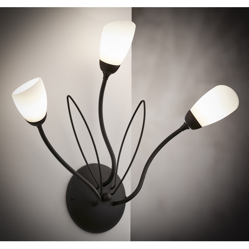 Jupiter 2059 - Nástěnné svítidlo GLORIOSA 3xG9/14W/230V černá