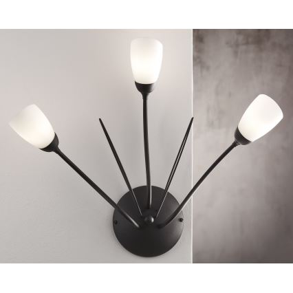 Jupiter 2059 - Nástěnné svítidlo GLORIOSA 3xG9/14W/230V černá