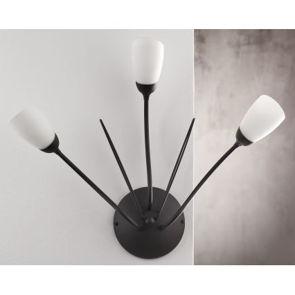 Jupiter 2059 - Nástěnné svítidlo GLORIOSA 3xG9/14W/230V černá