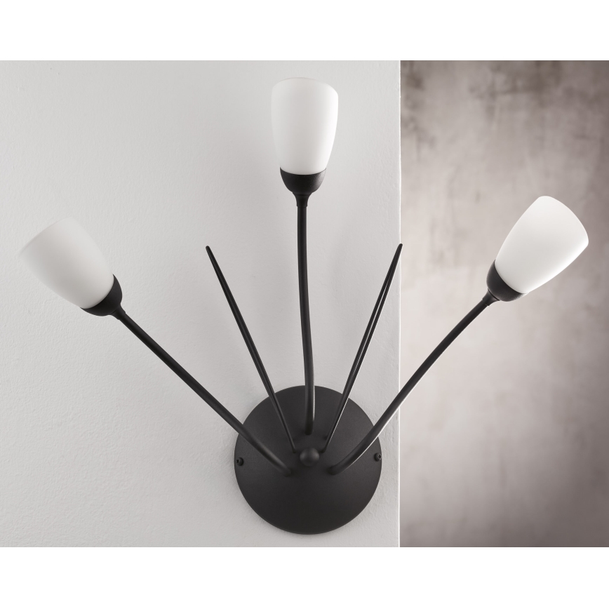 Jupiter 2059 - Nástěnné svítidlo GLORIOSA 3xG9/14W/230V černá