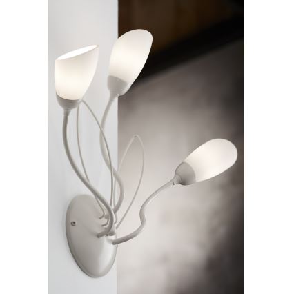 Jupiter 2064 - Nástěnné svítidlo GLORIOSA 3xG9/14W/230V krémová