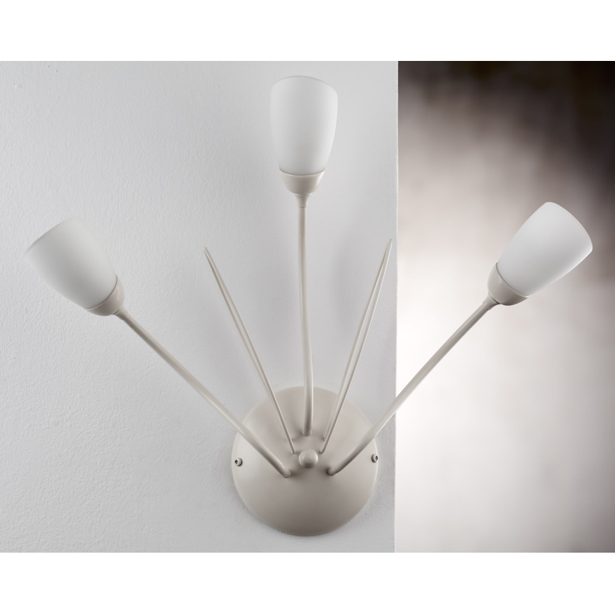 Jupiter 2064 - Nástěnné svítidlo GLORIOSA 3xG9/14W/230V krémová