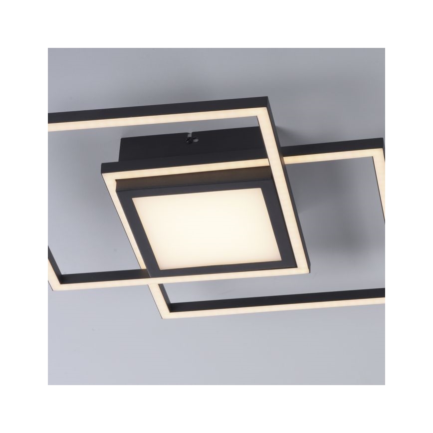 JUST LIGHT. 14144-18 - LED Stropní svítidlo ASMIN LED/26W/230V