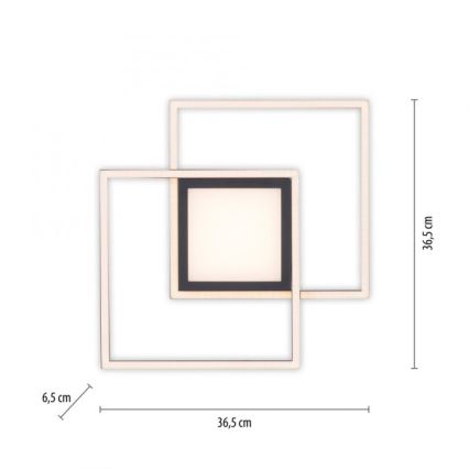 JUST LIGHT. 14144-18 - LED Stropní svítidlo ASMIN LED/26W/230V
