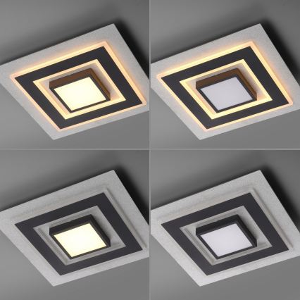 JUST LIGHT. 14439-21 - LED Stropní svítidlo CICHIO LED/18,5W/230V + LED/9W 40x40 cm černá