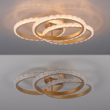 JUST LIGHT. 14734-60 - LED Stropní svítidlo GLITRA LED/37W/230V pr. 50 cm zlatá