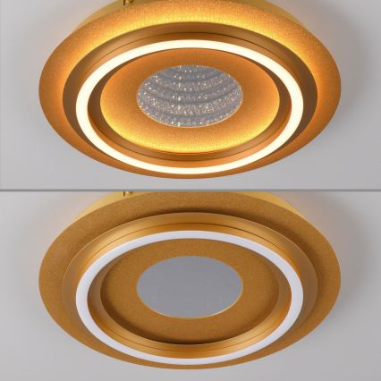 JUST LIGHT. 15089-60 - LED Stropní svítidlo CICHIO LED/36W/230V pr. 40 cm zlatá