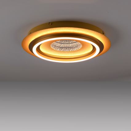 JUST LIGHT. 15089-60 - LED Stropní svítidlo CICHIO LED/36W/230V pr. 40 cm zlatá