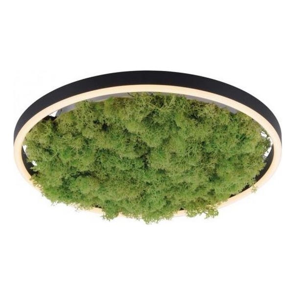 JUST LIGHT. 15391-66 - LED Stmívatelné stropní svítidlo GREEN RITU LED/20W/230V