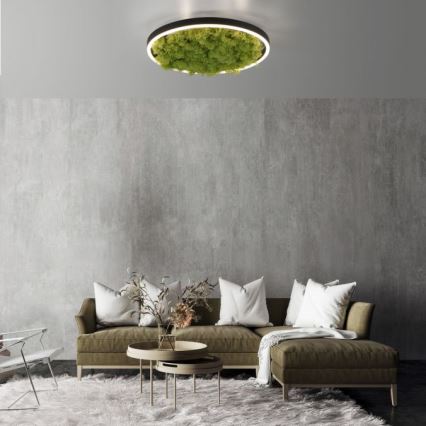JUST LIGHT. 15391-66 - LED Stmívatelné stropní svítidlo GREEN RITU LED/20W/230V