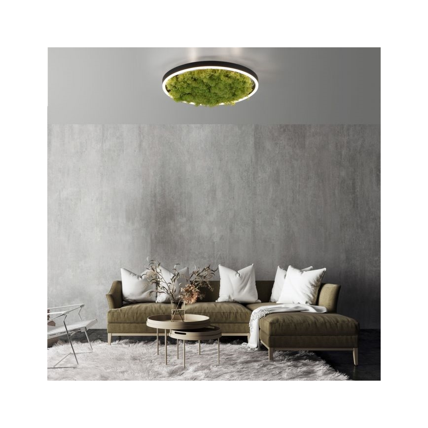 JUST LIGHT. 15391-66 - LED Stmívatelné stropní svítidlo GREEN RITU LED/20W/230V