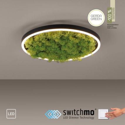 JUST LIGHT. 15391-66 - LED Stmívatelné stropní svítidlo GREEN RITU LED/20W/230V