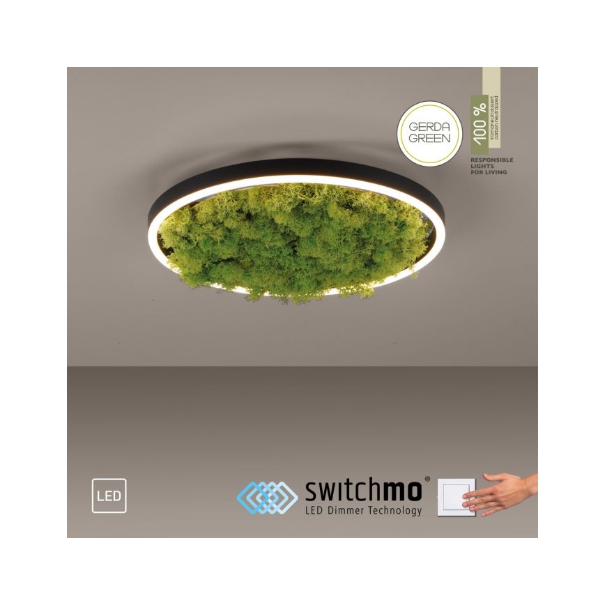 JUST LIGHT. 15391-66 - LED Stmívatelné stropní svítidlo GREEN RITU LED/20W/230V