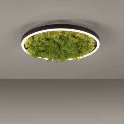 JUST LIGHT. 15391-66 - LED Stmívatelné stropní svítidlo GREEN RITU LED/20W/230V