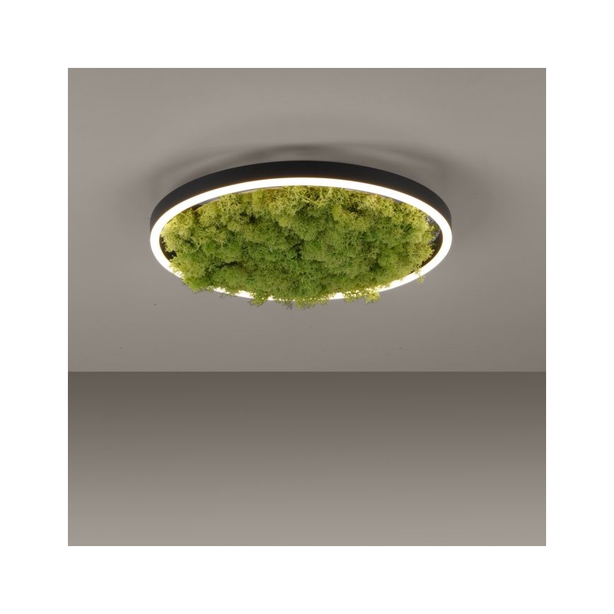 JUST LIGHT. 15391-66 - LED Stmívatelné stropní svítidlo GREEN RITU LED/20W/230V