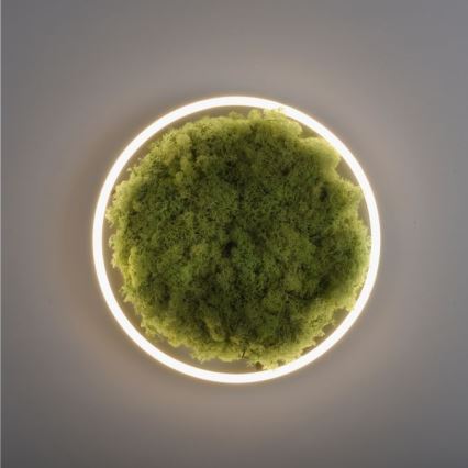 JUST LIGHT. 15391-66 - LED Stmívatelné stropní svítidlo GREEN RITU LED/20W/230V