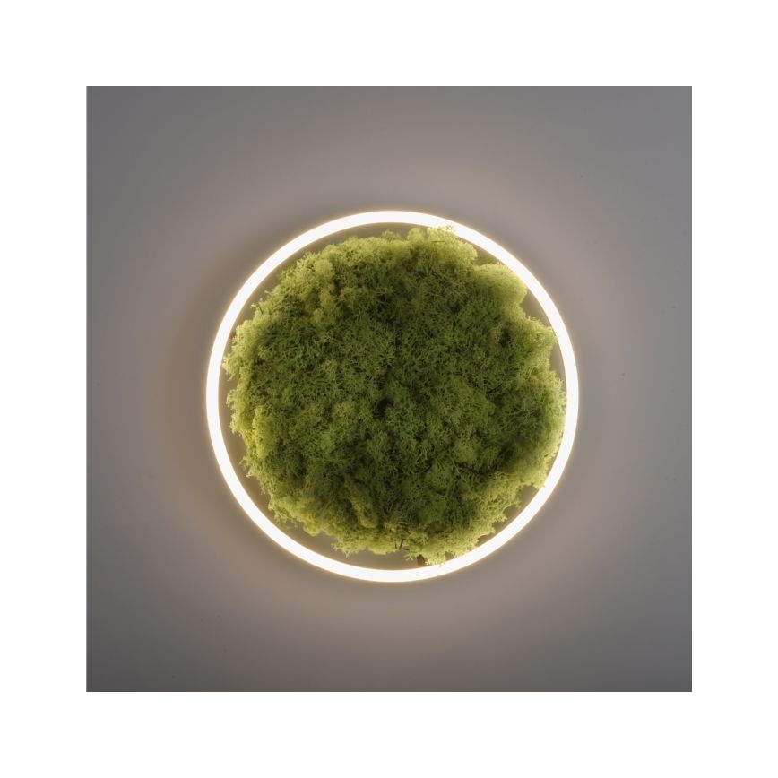 JUST LIGHT. 15391-66 - LED Stmívatelné stropní svítidlo GREEN RITU LED/20W/230V