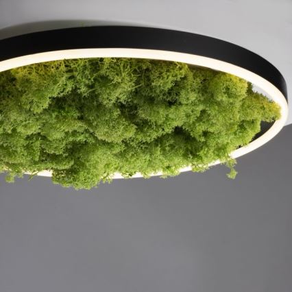 JUST LIGHT. 15391-66 - LED Stmívatelné stropní svítidlo GREEN RITU LED/20W/230V
