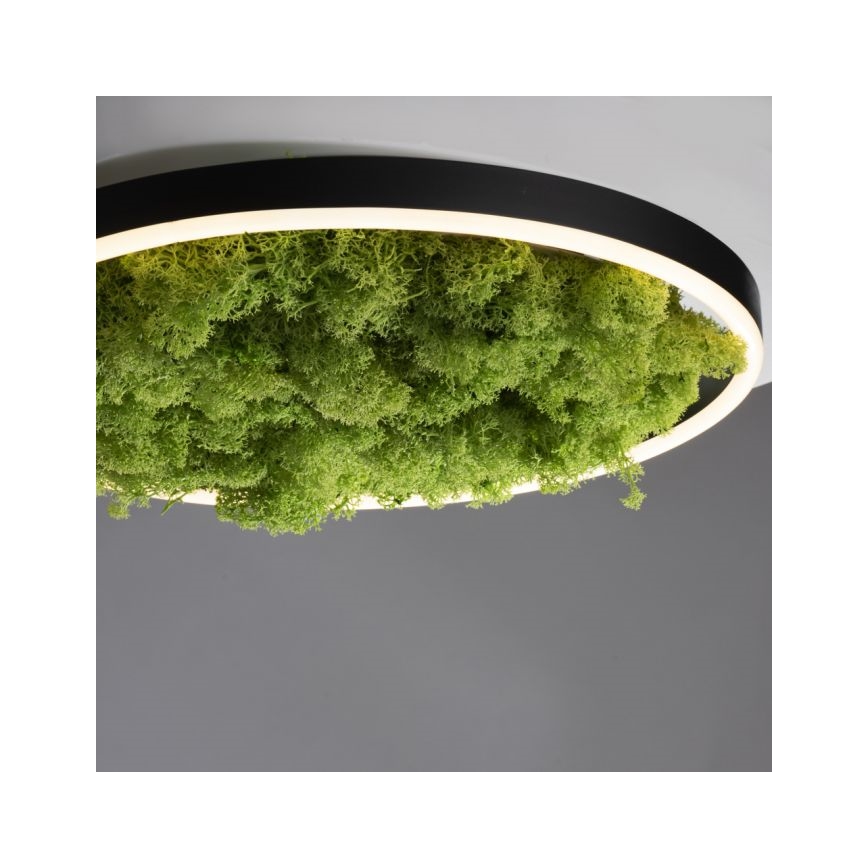 JUST LIGHT. 15391-66 - LED Stmívatelné stropní svítidlo GREEN RITU LED/20W/230V