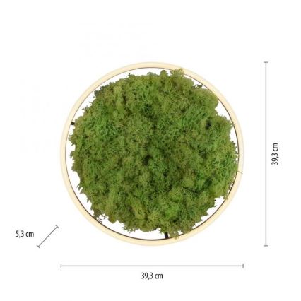 JUST LIGHT. 15391-66 - LED Stmívatelné stropní svítidlo GREEN RITU LED/20W/230V