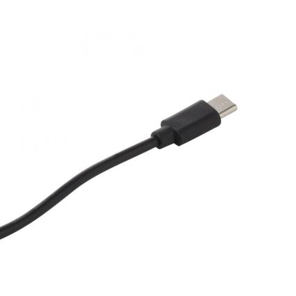 JUST LIGHT. 19260-18 - LED Stmívatelná dotyková venkovní lampa ABERA LED/3W/3,7V 2000 mAh USB IP54 černá