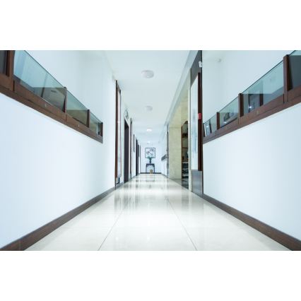 LED Stropní svítidlo se senzorem pohybu a soumraku FOGLER LED/24W/230V pr. 38 cm