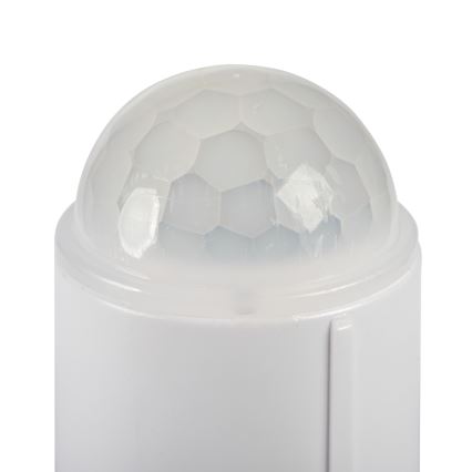 LED Stropní svítidlo se senzorem pohybu a soumraku FOGLER LED/24W/230V pr. 38 cm