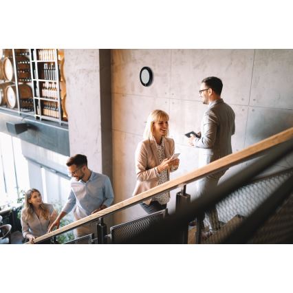 LED Stropní/podhledové svítidlo 2v1 ERGA LED/17W/230V 3000/4000/6500K černá