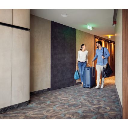 LED Stropní/podhledové svítidlo 2v1 ERGA LED/17W/230V 3000/4000/6500K bílá