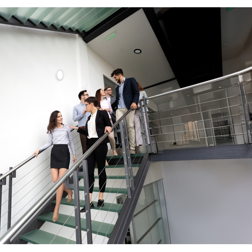 LED Stropní/podhledové svítidlo 2v1 ERGA LED/17W/230V 3000/4000/6500K bílá