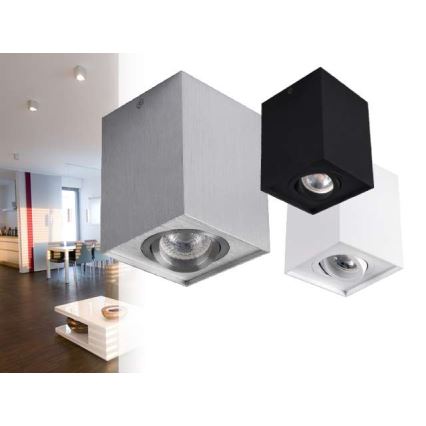 Bodové svítidlo GORD 1xGU10/25W/230V bílá