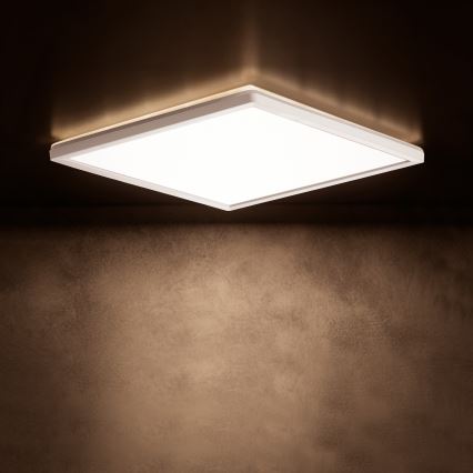 LED Stropní svítidlo AZPO LED/22W/230V 3000/4000/6000K 42x42 cm IP54 bílá