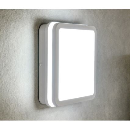 LED Venkovní stropní svítidlo se senzorem BENO LED/18W/230V 4000K bílá IP54