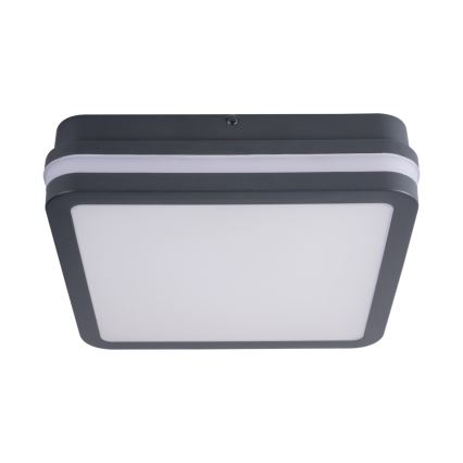 LED Venkovní svítidlo se senzorem BENO LED/24W/230V 4000K antracit IP54