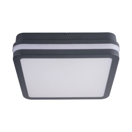 LED Venkovní svítidlo se senzorem BENO LED/24W/230V 4000K antracit IP54