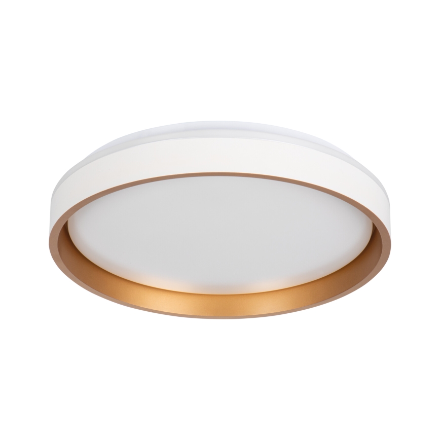 LED Stropní svítidlo SOLN LED/17,5W/230V pr. 38 cm bílá/zlatá