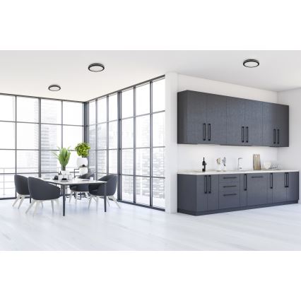 LED Venkovní stropní svítidlo BENO E LED/30W/230V 3000/4000/6500K pr. 30 cm IP65 černá