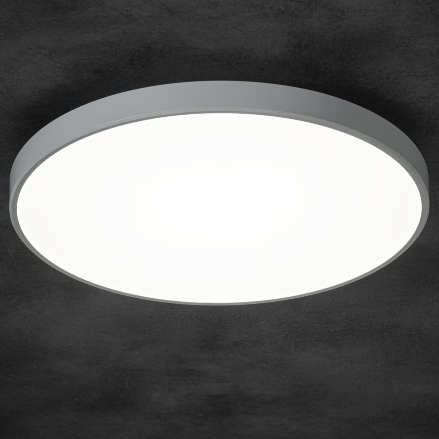 LED Stmívatelné stropní svítidlo PLAFON LED/20W/230V 3000-6500K Wi-Fi bílá