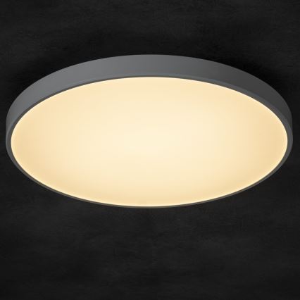 LED Stmívatelné stropní svítidlo PLAFON LED/20W/230V 3000-6500K Wi-Fi bílá