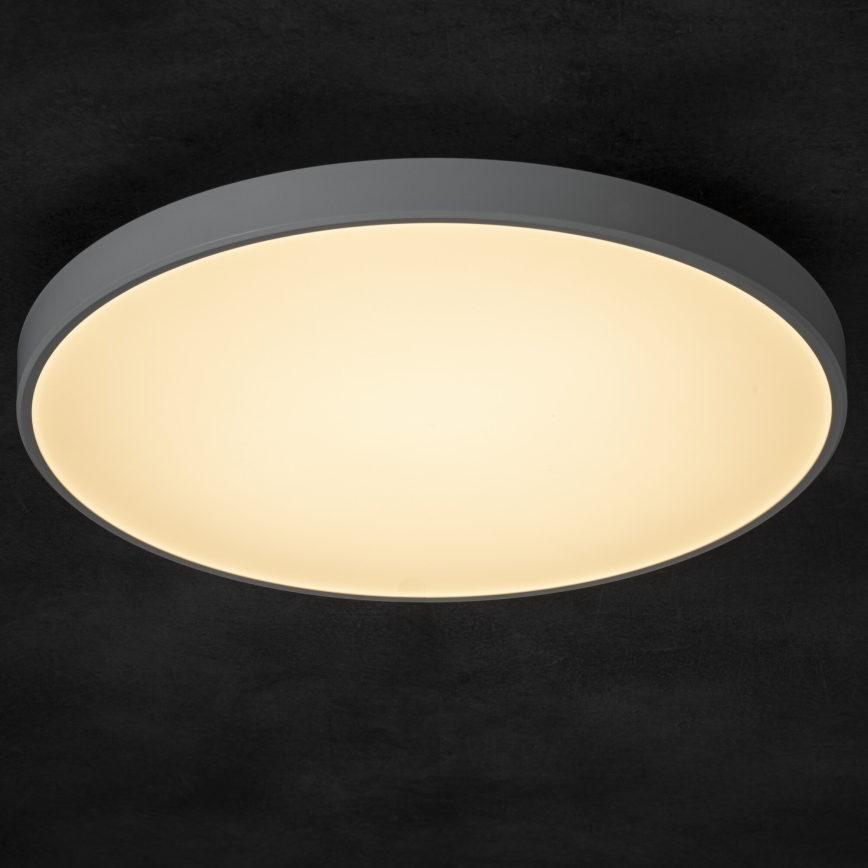 LED Stmívatelné stropní svítidlo PLAFON LED/20W/230V 3000-6500K Wi-Fi bílá