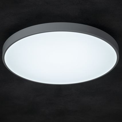 LED Stmívatelné stropní svítidlo PLAFON LED/20W/230V 3000-6500K Wi-Fi bílá