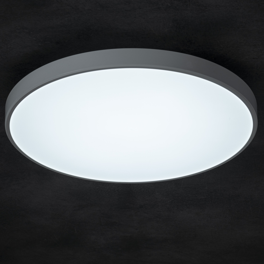 LED Stmívatelné stropní svítidlo PLAFON LED/20W/230V 3000-6500K Wi-Fi bílá