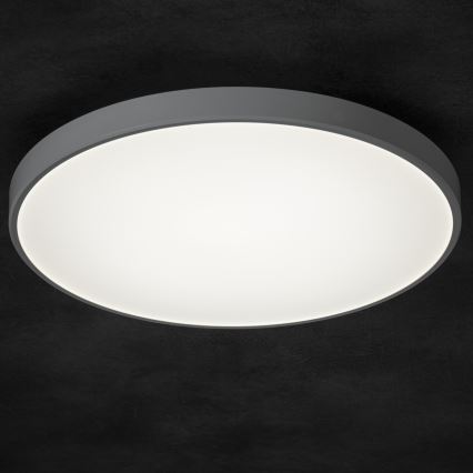 LED Stmívatelné stropní svítidlo PLAFON LED/20W/230V 3000-6500K Wi-Fi bílá