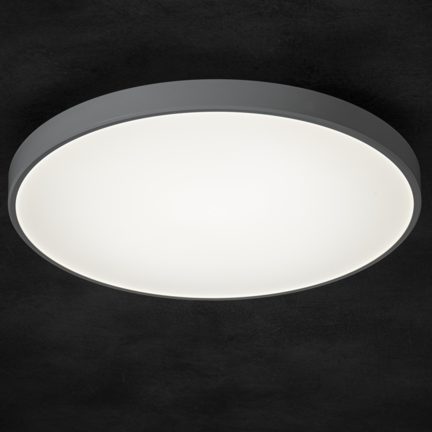 LED Stmívatelné stropní svítidlo PLAFON LED/20W/230V 3000-6500K Wi-Fi bílá
